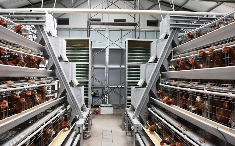 山东一陆牧业有限公司